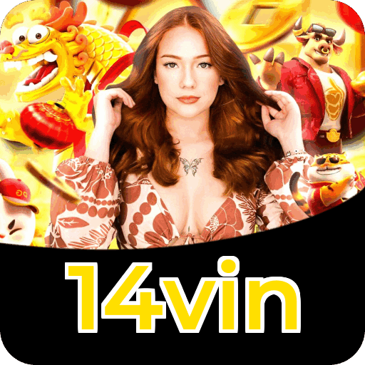 Interface 14vin